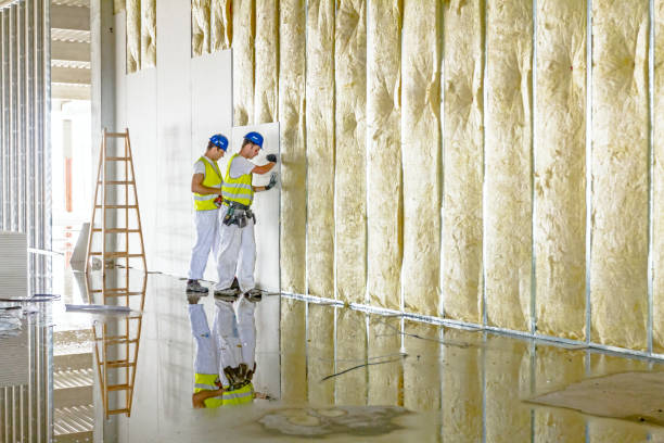 Best Eco-Friendly Insulation in Dover, NH